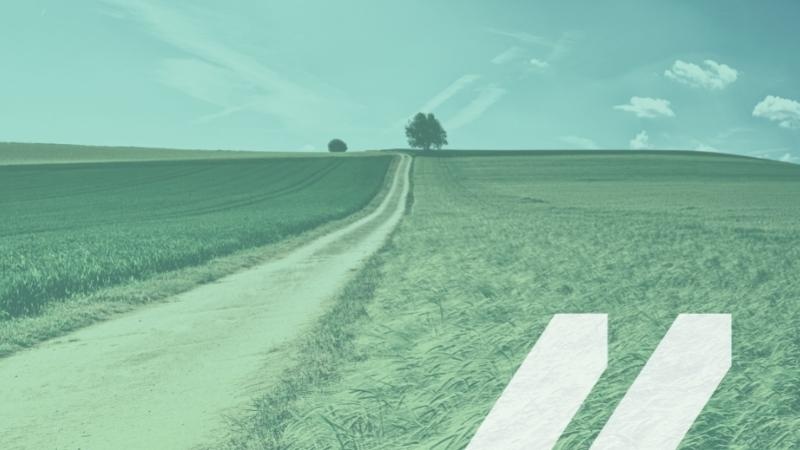 Image of farmland and a dirt road