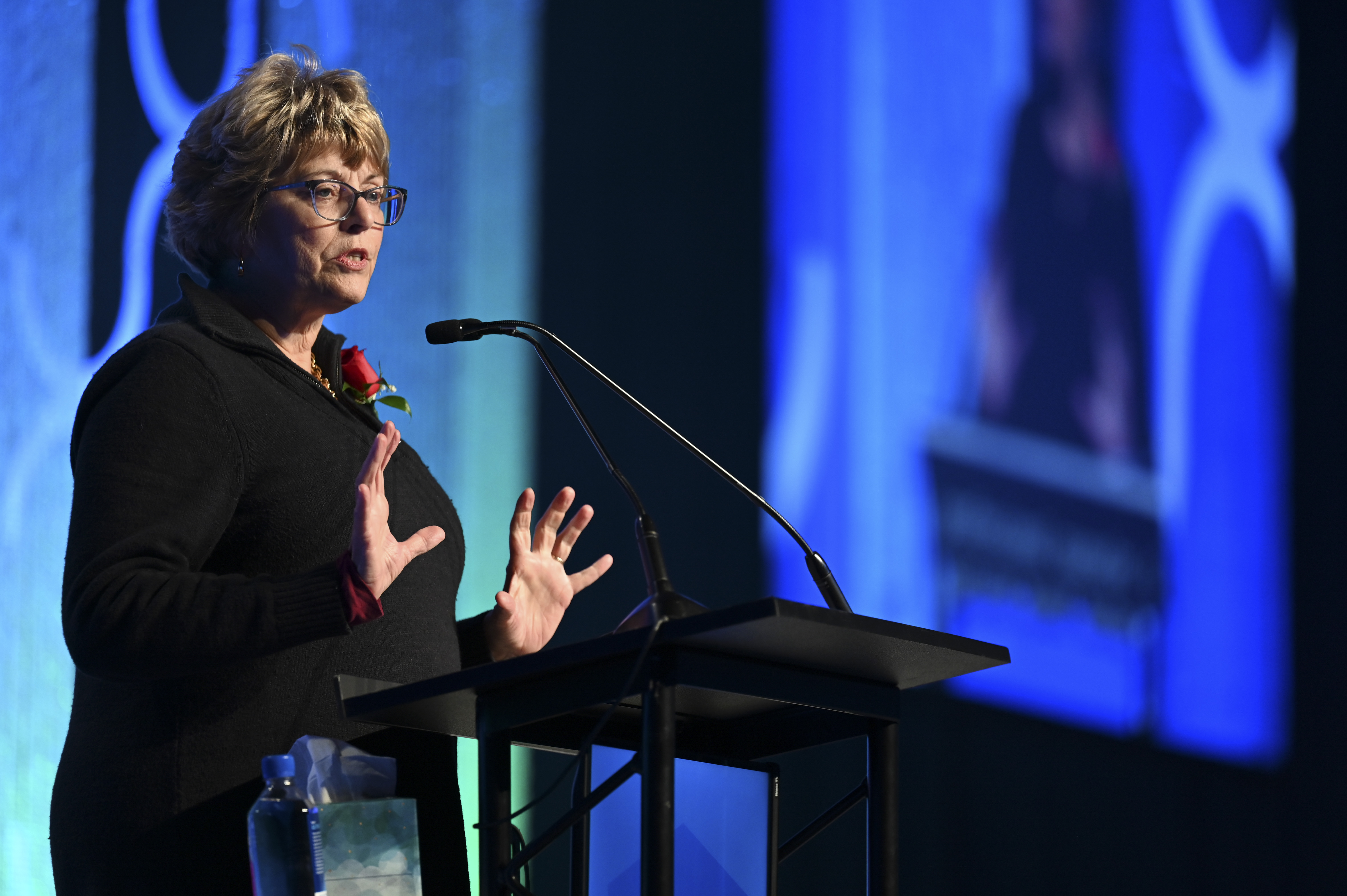 Lapeer High School recipient